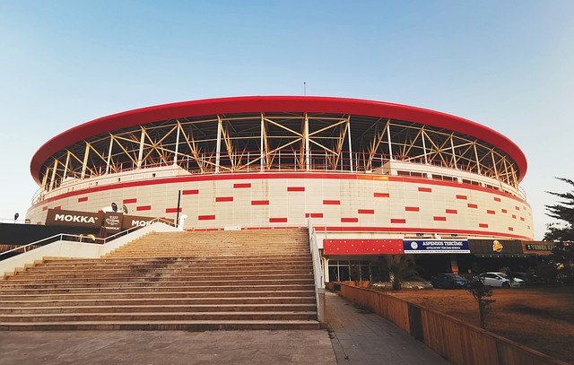 利不仅是比 利不仅是比