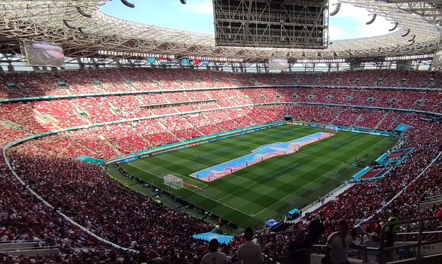 是一个大胆 是一个大胆