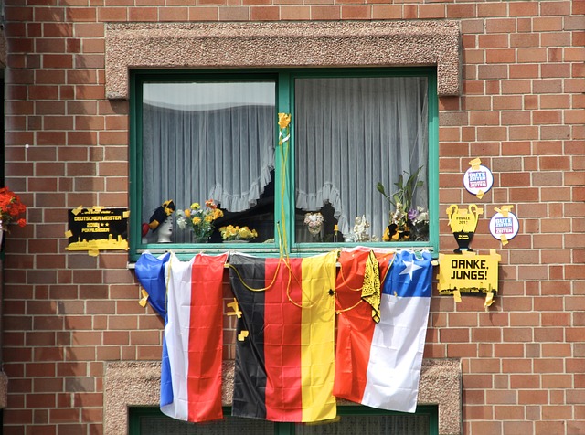 这一成功的 这一成功的