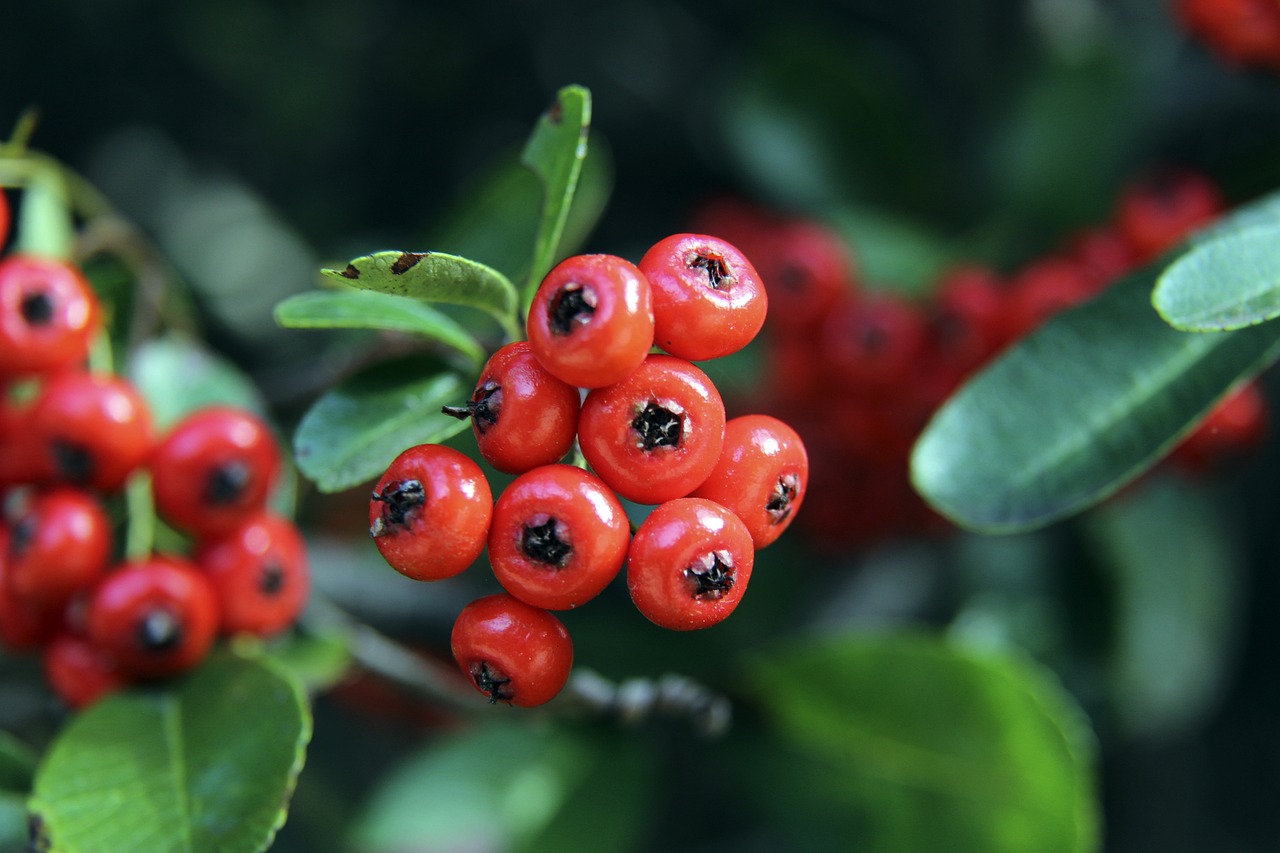 却在关键时 却在关键时