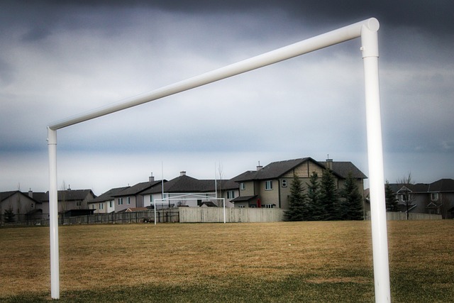 尽管他们在 尽管他们在