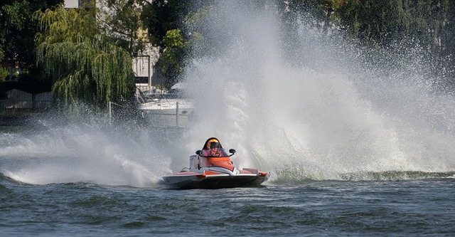 岁新星巴恩 岁新星巴恩