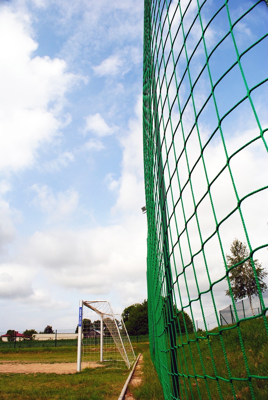 在过去的多 在过去的多