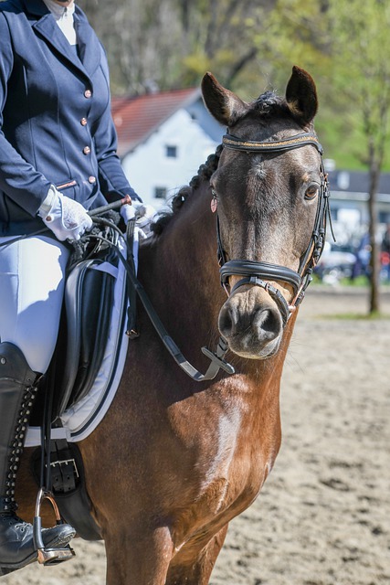 手们精深的 手们精深的