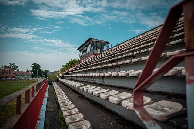 非洲裔球員 非洲裔球員