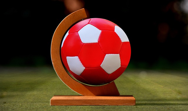 王钰栋与贝 王钰栋与贝