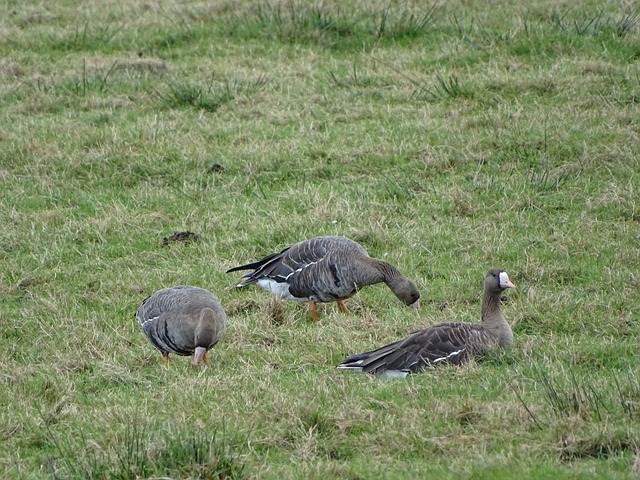 的赛后时光 的赛后时光
