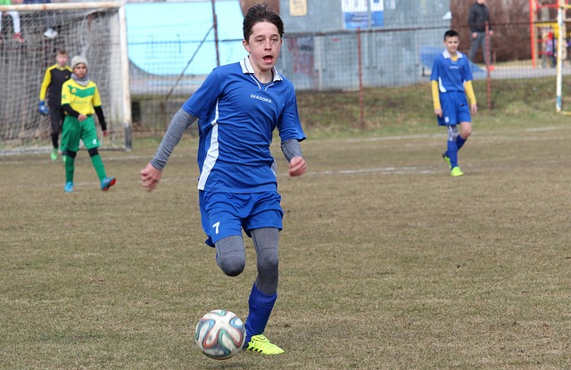 供了一个 供了一个