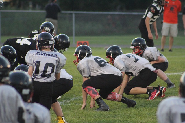 育盛事的到 育盛事的到