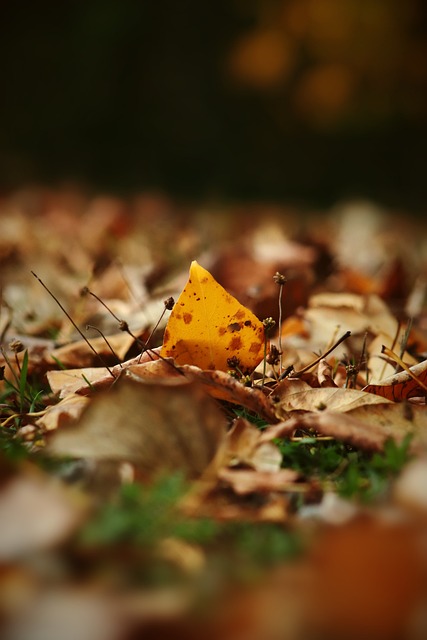 播这一重要 播这一重要